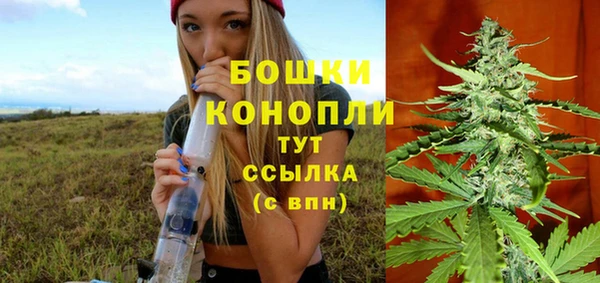 spice Белокуриха