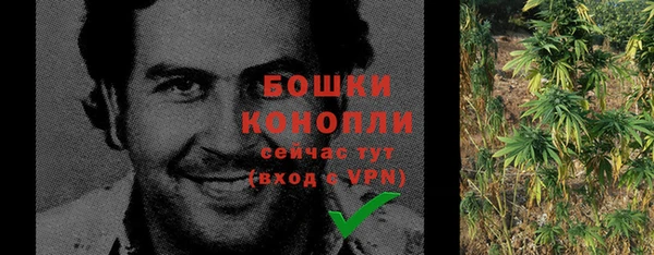 spice Белокуриха