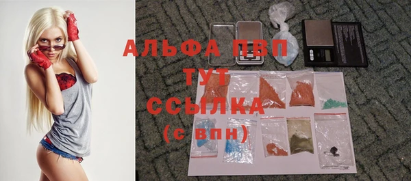 apvp Ростов