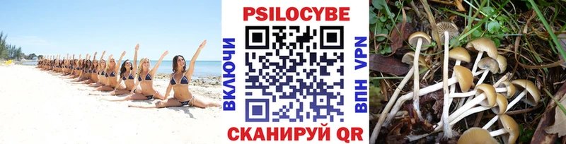 гидра как войти  Шатура  Псилоцибиновые грибы GOLDEN TEACHER  цены наркотик 